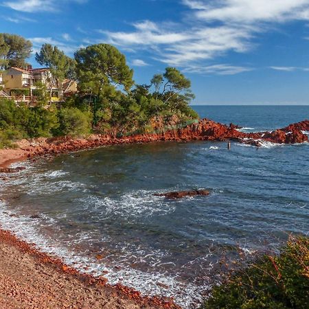 Un Grand Studio Face Au Port De Santa Lucia Сен-Рафаэль Экстерьер фото